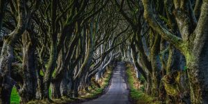 The Kingsroad in Ierland Reizen met Galtic