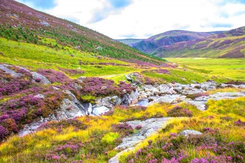 Cairngorms national park - reizen met Galtic